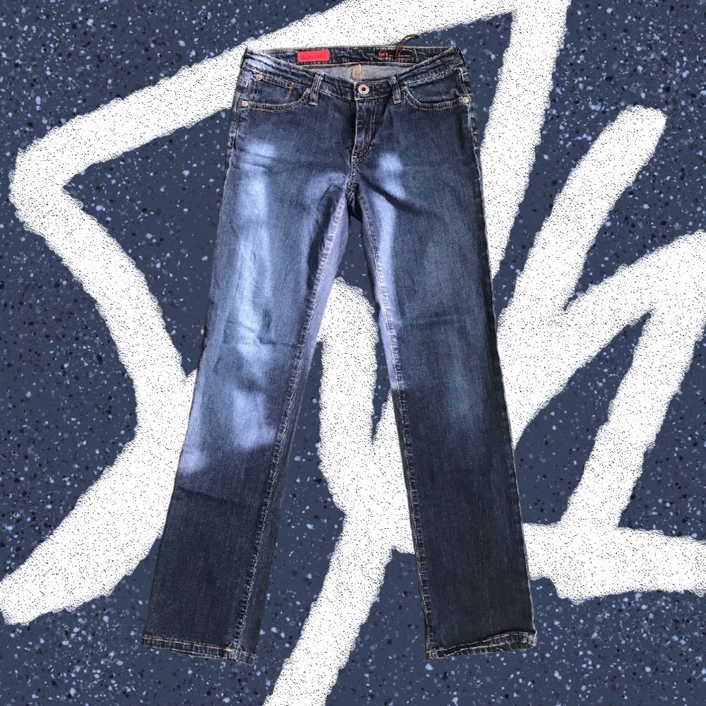 Adriano Goldschmied womens size 27R vintage denim